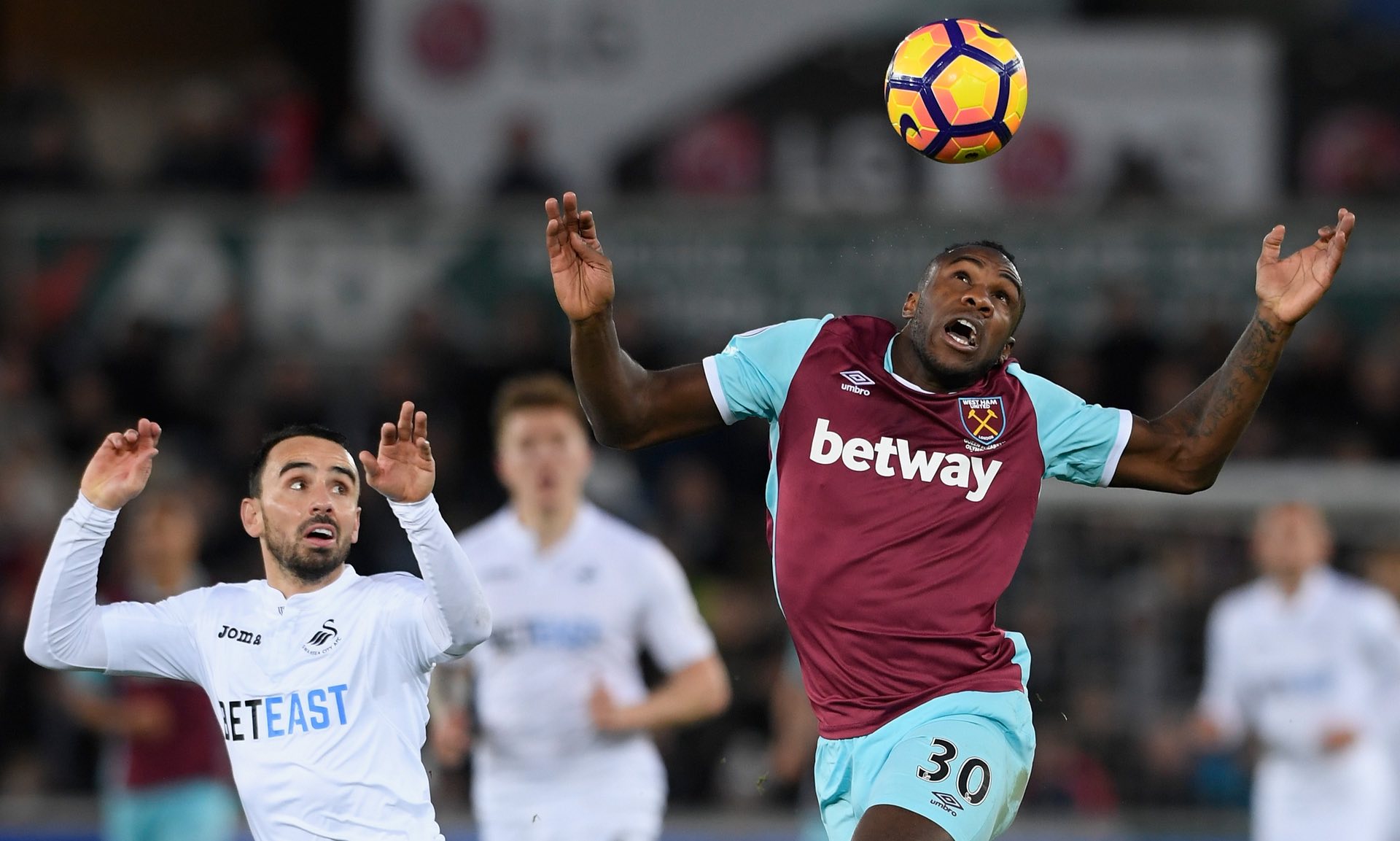 金判坤具备 金判坤具备