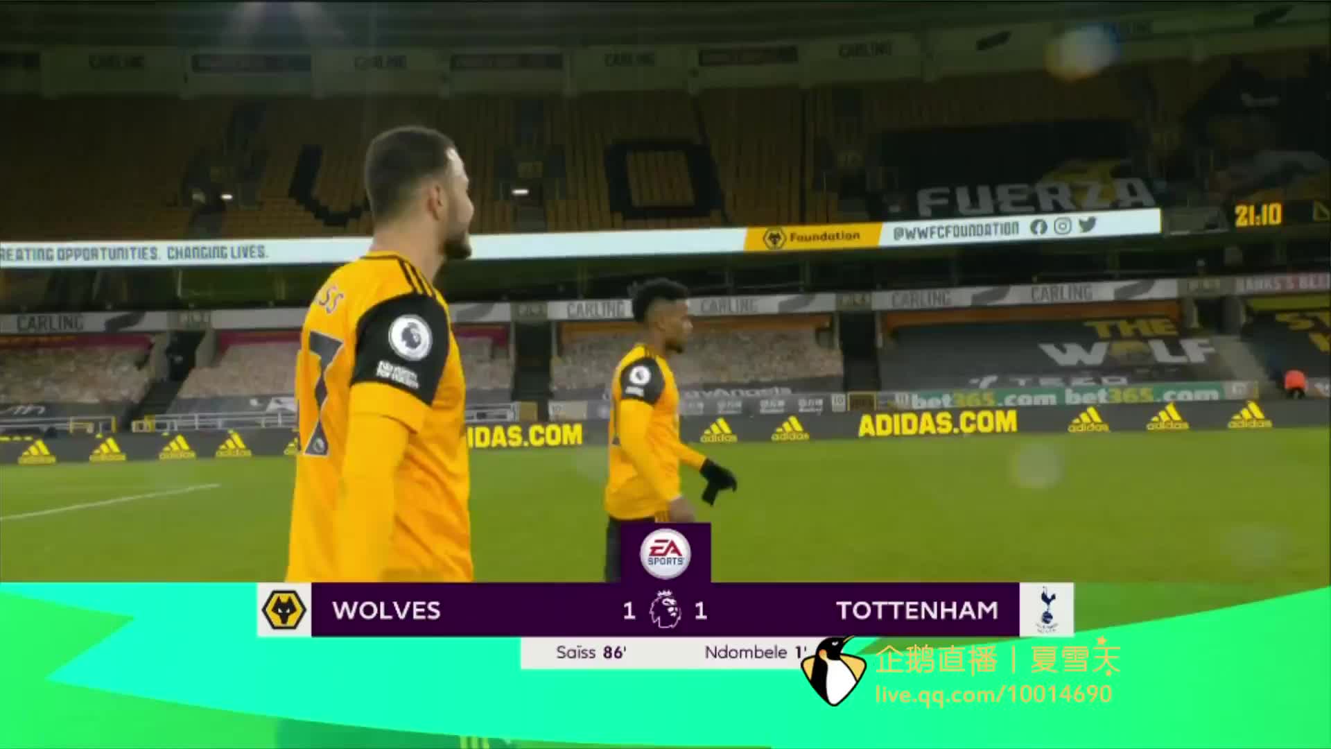 巩固了他们 巩固了他们